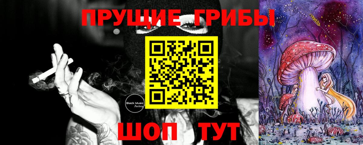 Псилоцибиновые грибы Psilocybe Углич