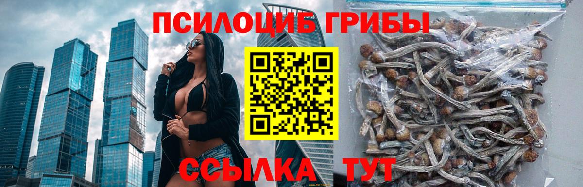 Псилоцибиновые грибы GOLDEN TEACHER  Вход с VPN  Углич 
